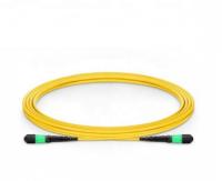 La couleur jaune optique de fibre du SM 12 de câble de tronc de MPO a adapté aux besoins du client