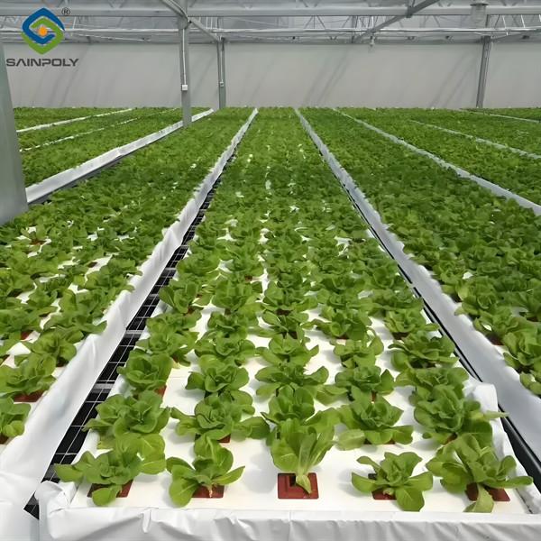 Vegetable Fruits Growing Farm Hydroponic Greenhouse Vertical / Horizontal NFT