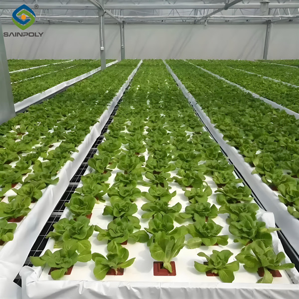 Agricultural Multispan Greenhouse Complete Hydroponic Nft Greenhouse