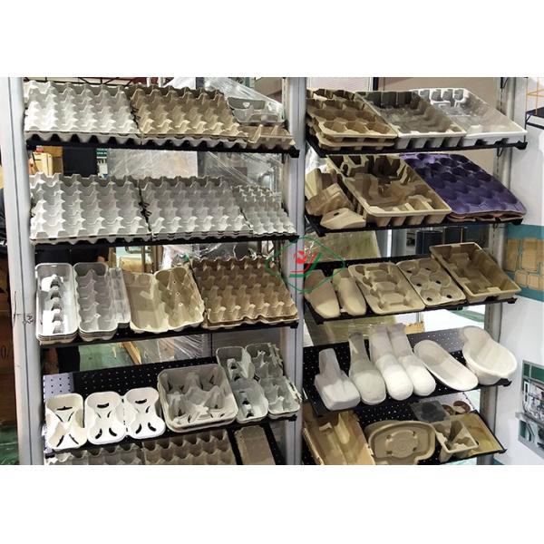 El equipo del moldeado de la pulpa/rotatorios automáticos recicla la máquina de papel de la fabricación de la bandeja del huevo