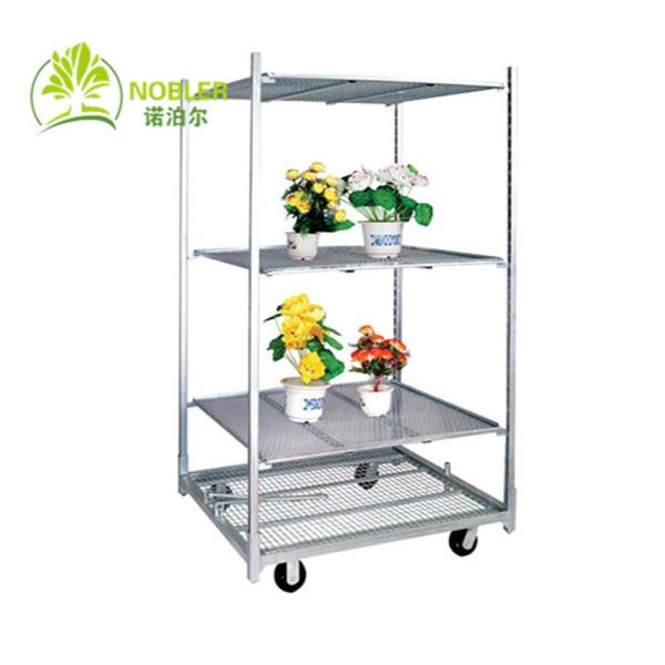 Plywood Shelf Dutch Flower Trolley Electro Galvanized 1900mm