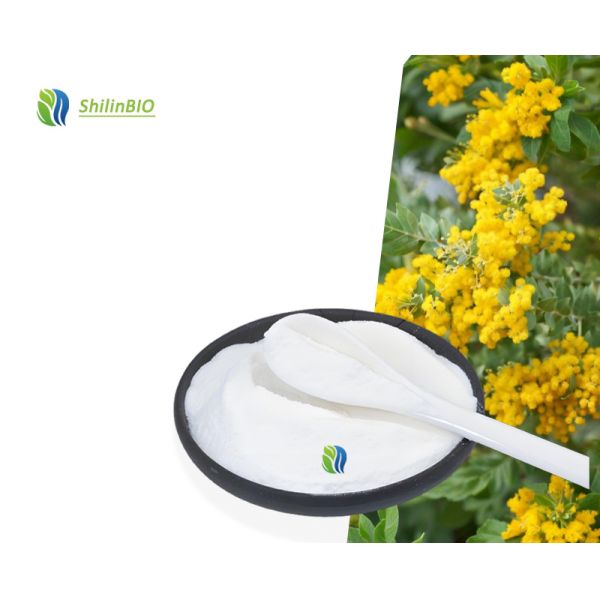 Factory Supply Food Grade Natural Gum Arabic Powder Arabic Gum CAS 9000-01-5