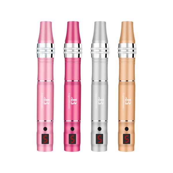 Newest Hot Sale Professional Skin Auto MD Electroporation Needle System Microneedling Derma Pen