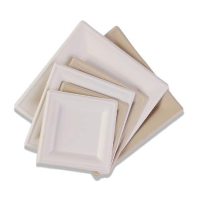 6 polegadas de lixo descartável placas de papel quadrados compostáveis placas de jantar quadrados grandes biodegradáveis