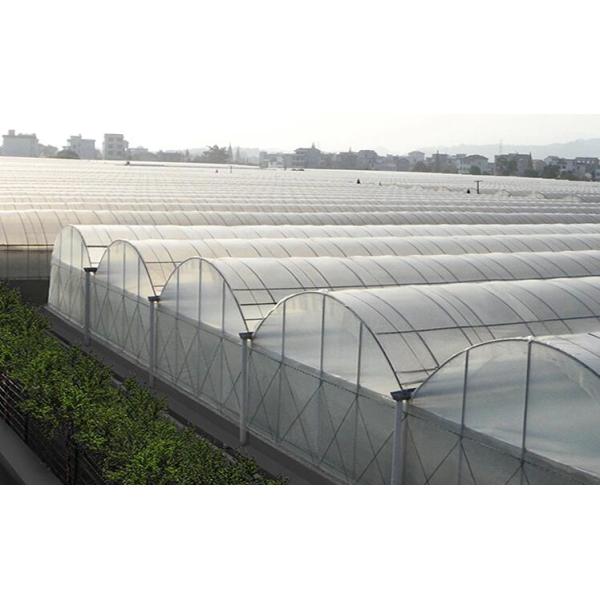 PEP Film Galvanized Coil 100m Prefab Greenhouse Shed
