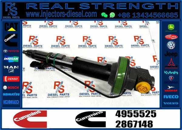 INJETOR de diesel de alta qualidade 4955525 Qsk19 injetor de combustível 4955525