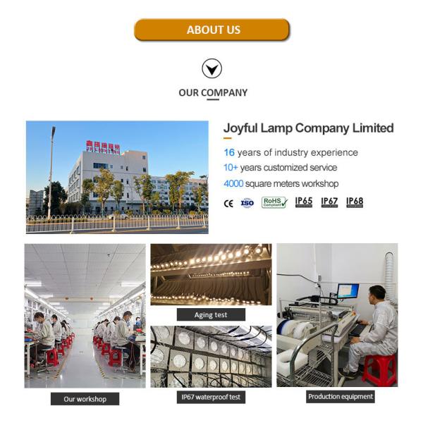 IP65 водонепроницаемый светодиодный светильник для стенового стирального устройства высокое напряжение 110V 220V светодиодный городской цветный свет