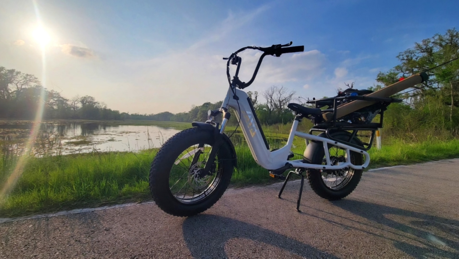Hot Sale Carbon Steel Frame 7-Speed Double Lithium Battery 20 Inch Hydraulic Disc Brakes 48V/250W Rear Hub Motor Cargo Bike