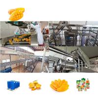 300T/D Stainless Steel Mango Juice Processing Line High Efficiency