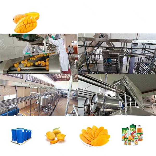 300T/D Stainless Steel Mango Juice Processing Line High Efficiency