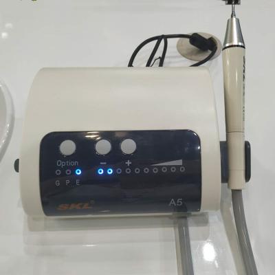 Dentes dentais do diodo emissor de luz Handpiece que limpam o sistema que escala o Scaler ultrassônico da máquina