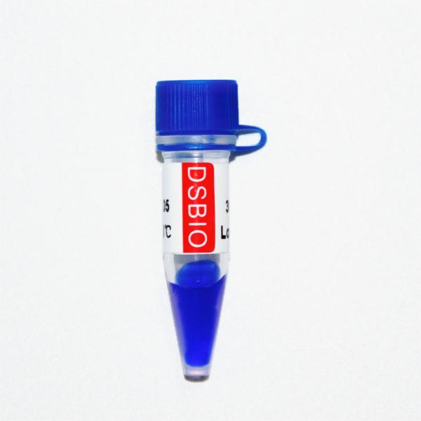 Escada M1111 do marcador do ADN do DS 5000 (50μg) /M1112 (5×50μg)