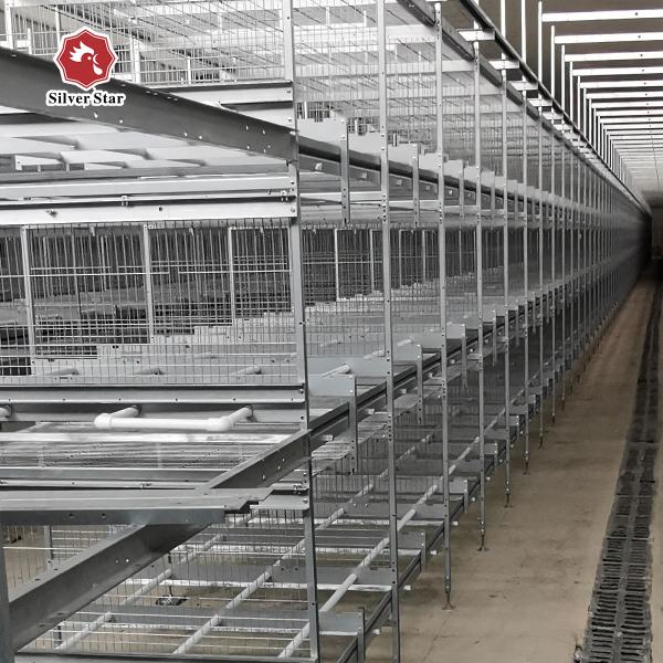 Размер системы 1950x2300x1500mm клетки цыпленка батареи птиц SGS 90-384
