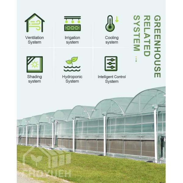 Multi Span Film Hydroponic Garden Greenhouse 10X30m Customizable