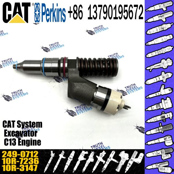 Injetor de combustível comum diesel 2490712 do trilho de Cat Machinery C11 C13 do motor do injetor 249-0712