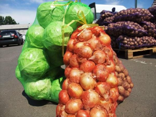 Plastic , PE , PP Woven Industrial Mesh Bags 50kg For Onions And Eggplant Orange Color