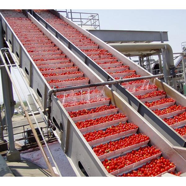 Concenrated Tomato Paste Processing Plant Concentrated Tomato Ketchup Production Line With Turn-Key Solution
