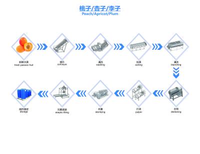 Linha de produção de sumo de ameixa NFC Linha de processamento de sumo de ameixa SUS304