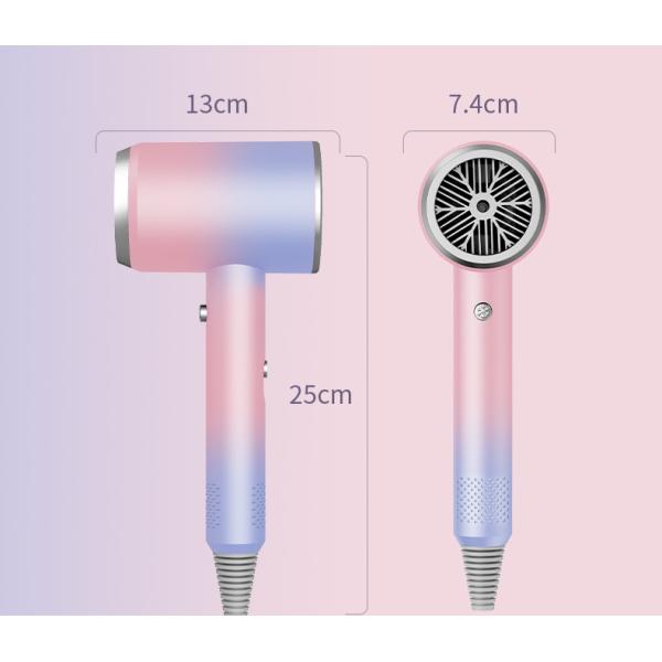 Advanced Blue Light Ion Technology Net Red Hair Dryer with High Power and Hot/Cold Air