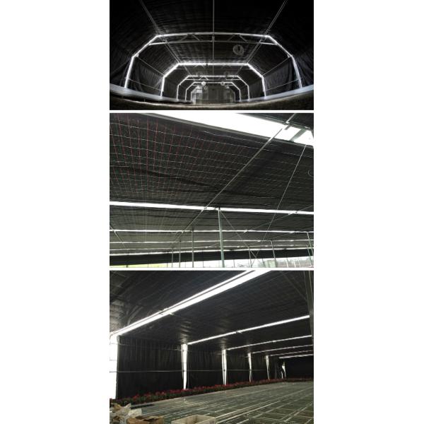 8m Wide PEP Film Automated Light Deprivation Greenhouse Top And Sides Ventilation