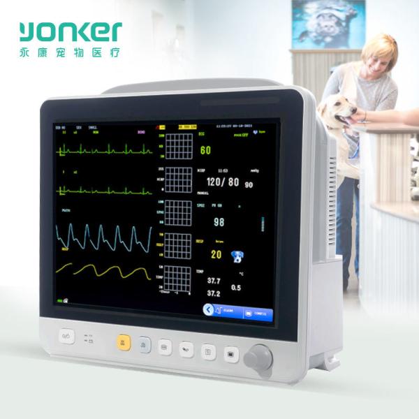 VE12 12.1 Inch Portable Veterinary Monitor Ecg Monitor Yonker 2 Hour 3 Level Audio/visual Alarm Veterinary Monitoring Instrument