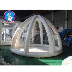 Advertising Inflatable Transparent Dome Tent Event Promotional Bubble Tent