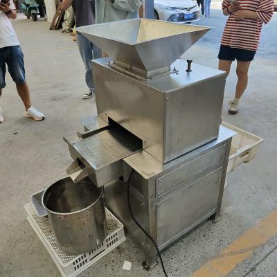 Innovative Design Of Durable And Efficient Large Capacity Domestic Commercial Peel Press