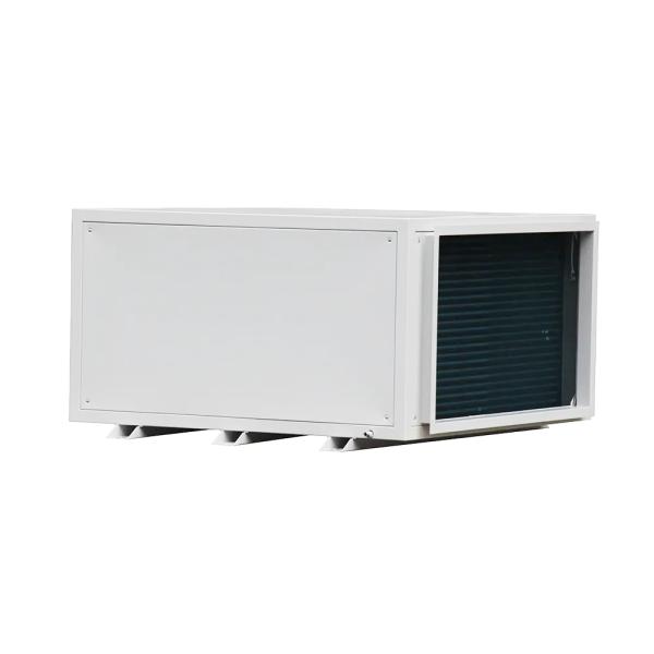 480L/D Factory Price Commercial Dehumidifier Ceiling Air Dryer Dehumidifier Moisture Absorber Cooling Wall Dehumidifier
