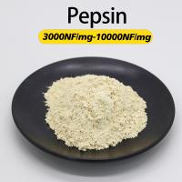 10000NF/Mg Pancreas Pepsine activité enzymatique personnalisée Soluble dans l'eau