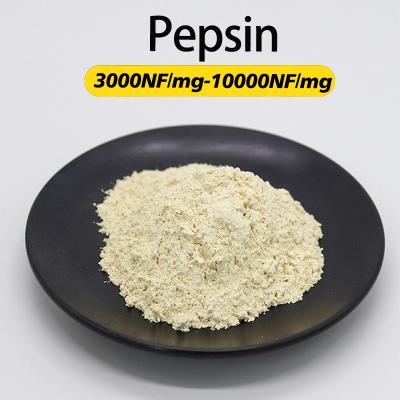 10000NF/Mg Pancreas Pepsine activité enzymatique personnalisée Soluble dans l'eau