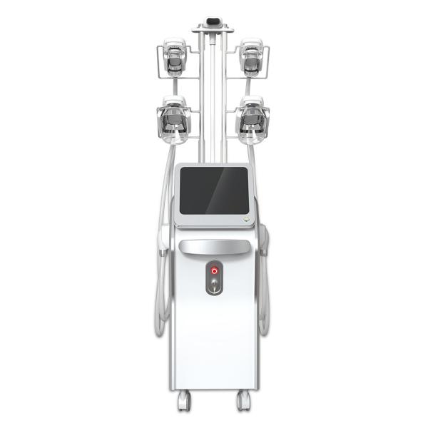 Safety 5 Handles Cryolipolysis Slimming Machine High Performance For Full Body