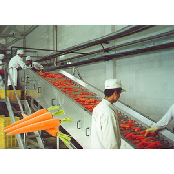 Профессиональный завод по обработке моркови/обрабатывающее оборудование фрукта и