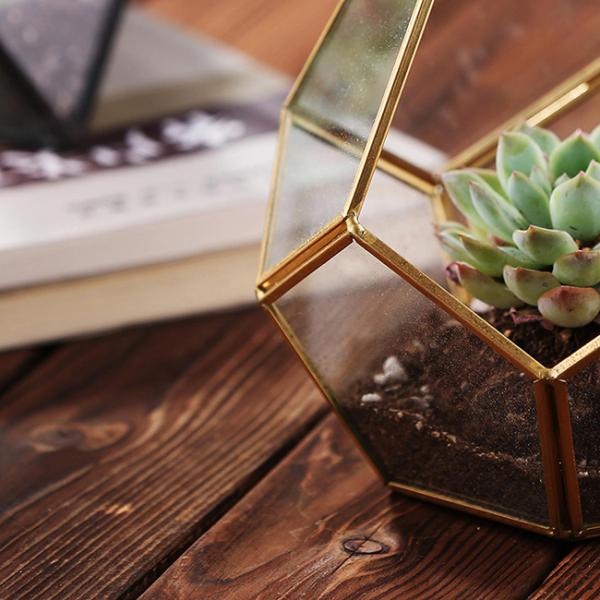 Do ouro suculento de vidro do preto da planta de Homeware da flor Terrarium de vidro geométrico de suspensão