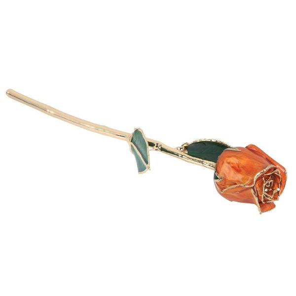 China Manufacture Supply Gold Plated Real Rose Real Flower Natural Rose for Valentine Gifts Preserved Rose