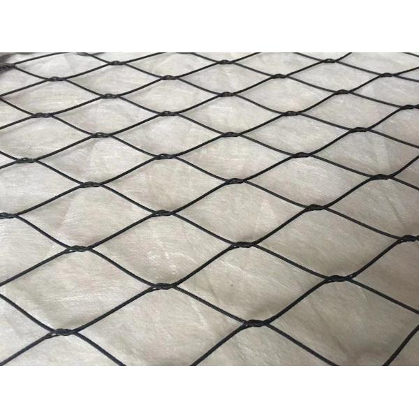 Black Oxide Bird Stainless Steel Rope Mesh 7 X 7