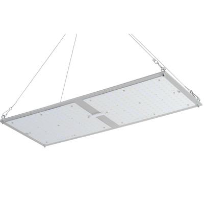 Systèmes croissants hydroponiques de culture de plante médicinale de Rikolite 200w de conseil d'intérieur de Quantum