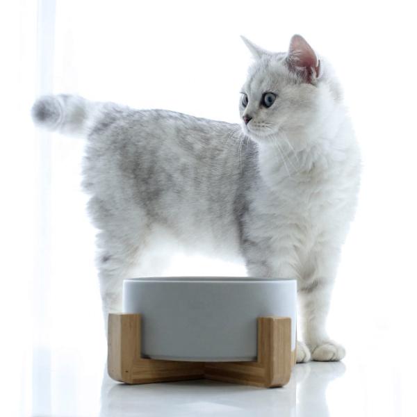 OEM ODM Elevated Cat Food Bowls Ceramic Pet Bowl Slow Feeder Dog Bowl Ceramic Dog Bowls Ceramic Cat Bowl