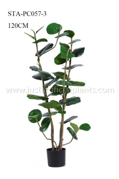 Real Touch Artificial Decorative Trees Artificial House Plant 4 Feet 5 Feet 6 Feet Wide Leaf