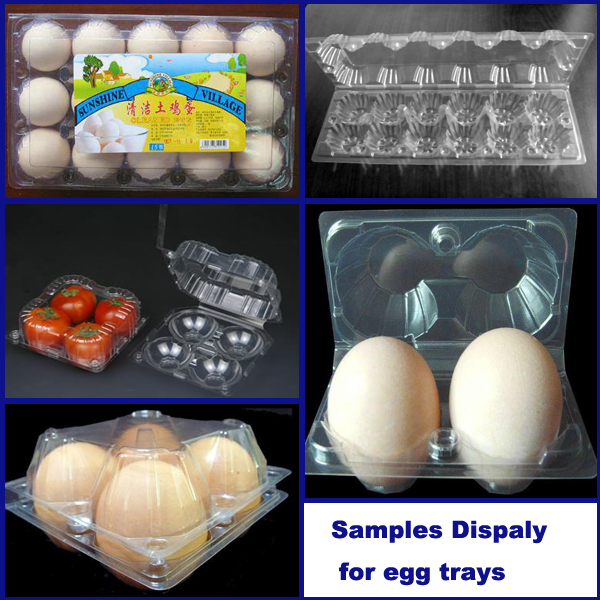 PP vacuum forming machine thermoforming Servo Motor Control,For Food Containers