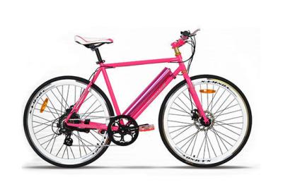 bicicleta elétrica da assistência do pedal da longa distância de 36V 250W com o pedal para jovens