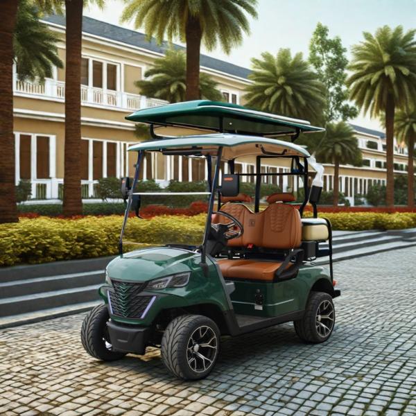 Front Disc Rear Drum Brake System Electric Golf Cart for Wedding Resort Hotel HM Mini