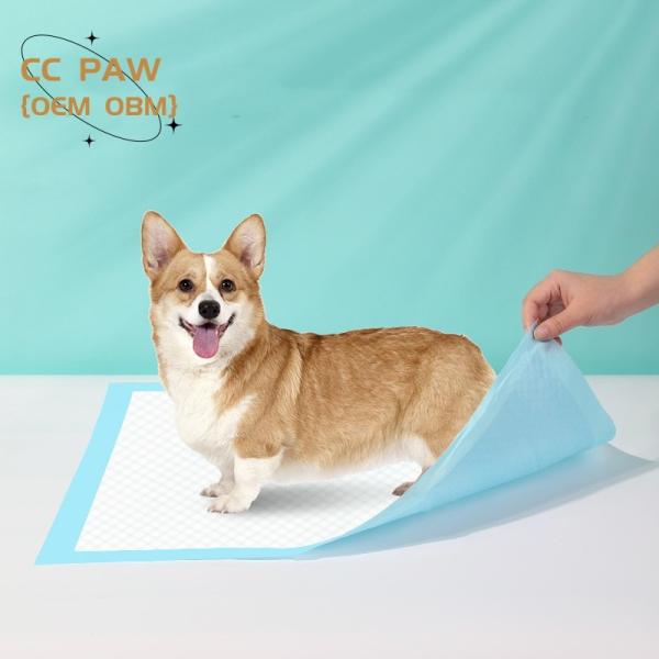 Eco Friendly Bio Degradable Pet Training Pad for Dogs Cats Animals in XS-XXXL Sizes