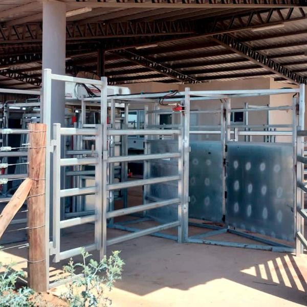 Porte latérale clôture de bétail galvanisée Porte de l'homme Ferme de vache clôture panneaux tube ovale