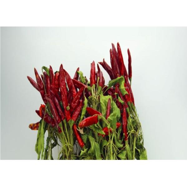 BRC обезвоживая чили макаронные изделия используют Szechuan высушило влагу Chili 14%