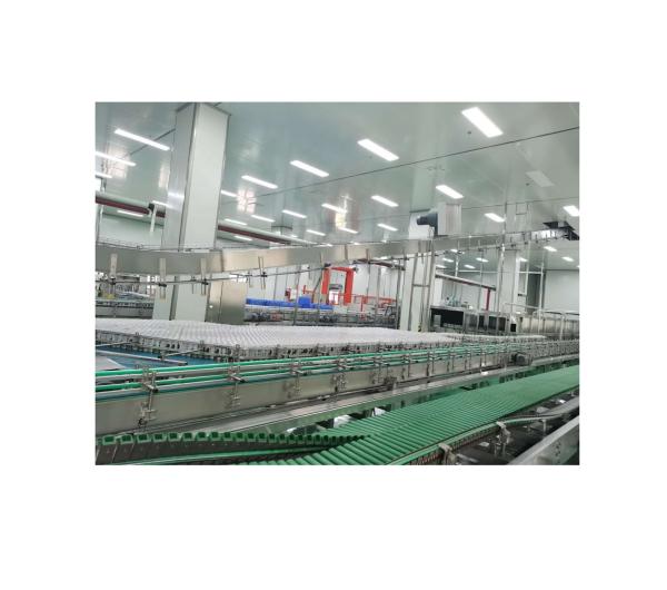 Processamento de vegetais Tipo de vidro Material de embalagem Projeto chave em mão Suco de frutas Linha de produção de celulose de maçã
