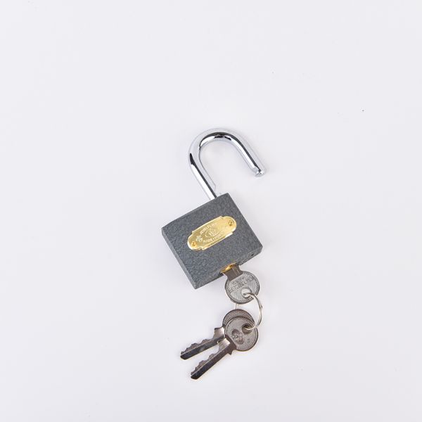 Rarlux New Design Steel Iron Padlock Anti-cut Round Type Solid Steel Padlock