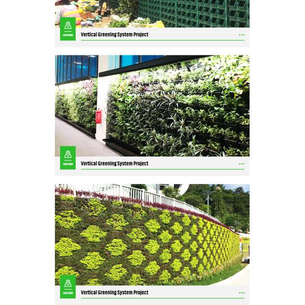 Vertical Moss Garden Green Plant Wall Panel Finishing Not Coated Per square meter 4