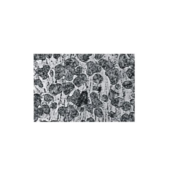 Interpupillary Distance Labratory Industrial Microscope for Lab Multi-objective