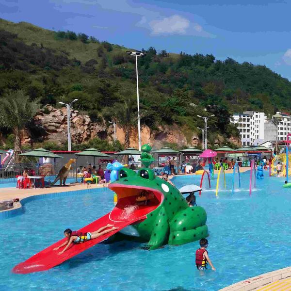Frog Shape Water Pool Slides, Aqua Park Fiberglass Small Slide For Kids