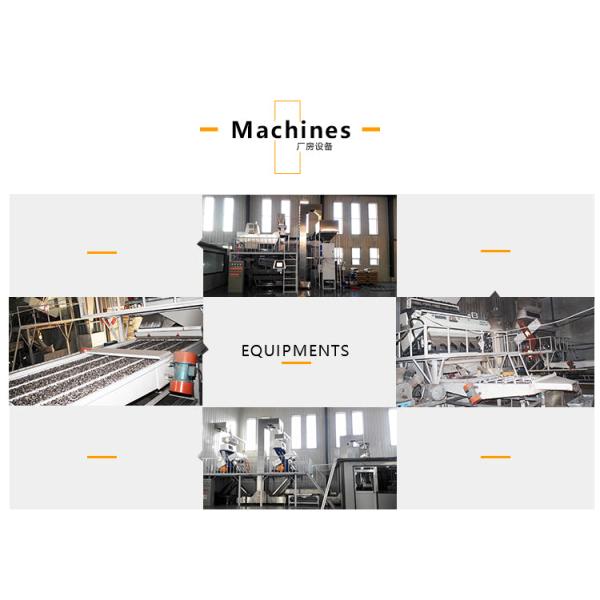 Wholesale Nutrition Food High Quality XL Five Spice Flavor Roasted Sunflower Seeds Best Price ODM OEM